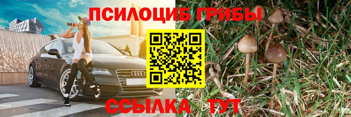 Псилоцибиновые грибы Magic Shrooms  Вход с VPN  Псилоцибиновые грибы мухоморы  Кимры 